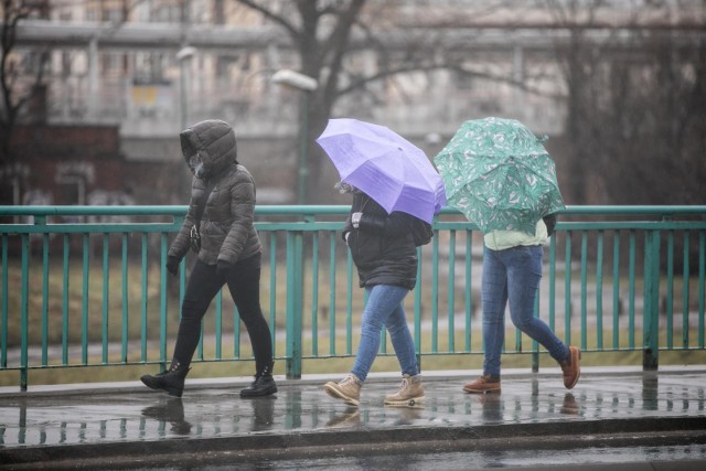 Synoptycy Instytutu Meteorologii i Gospodarki Wodnej w Krakowie ostrzegają przed silnym wiatrem w najbliższy weekend