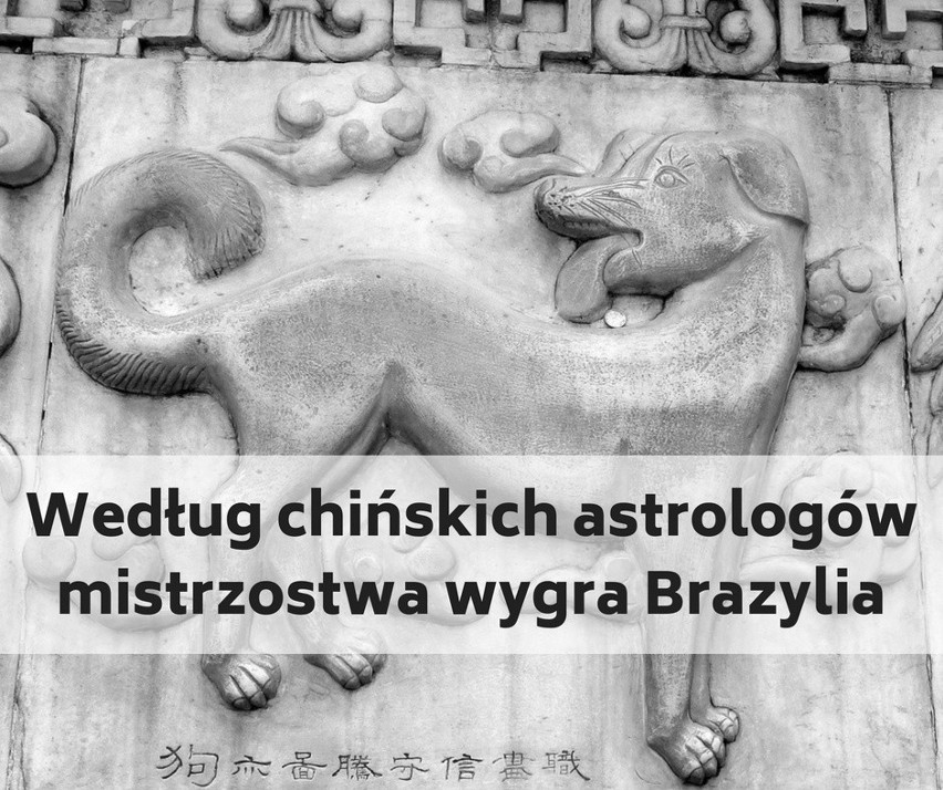 Według chińskich astrologów największe szanse na zwycięstwo...