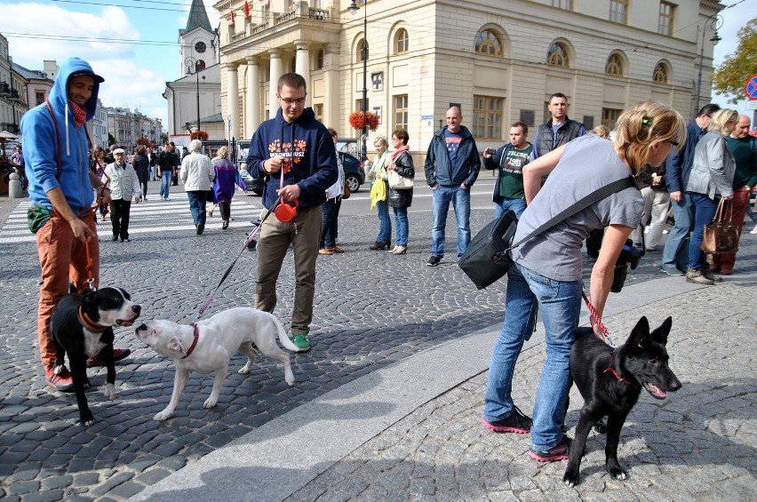 8 edycja akcji "Zerwijmy łańcuchy". Sprawdzali, co czuje pies przywiązany do budy (ZDJĘCIA)