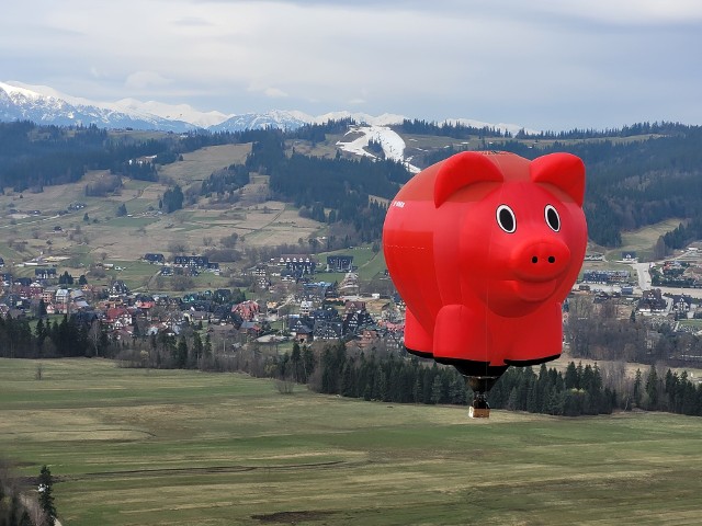 Imponująca świnka zawojowała podhalańskie niebo podczas 3. Małopolskiego Festiwalu Balonowego