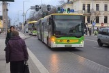 ZIELONA GÓRA. Jest już odpowiedź w sprawie bezpłatnej komunikacji dla seniorów. Darmowych przejazdów nie będzie