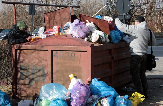 Ponad 10 milionów złotych - najprawdopodobniej - kosztować będzie wywożenie śmieci z całego Grudziądza w przyszłym roku