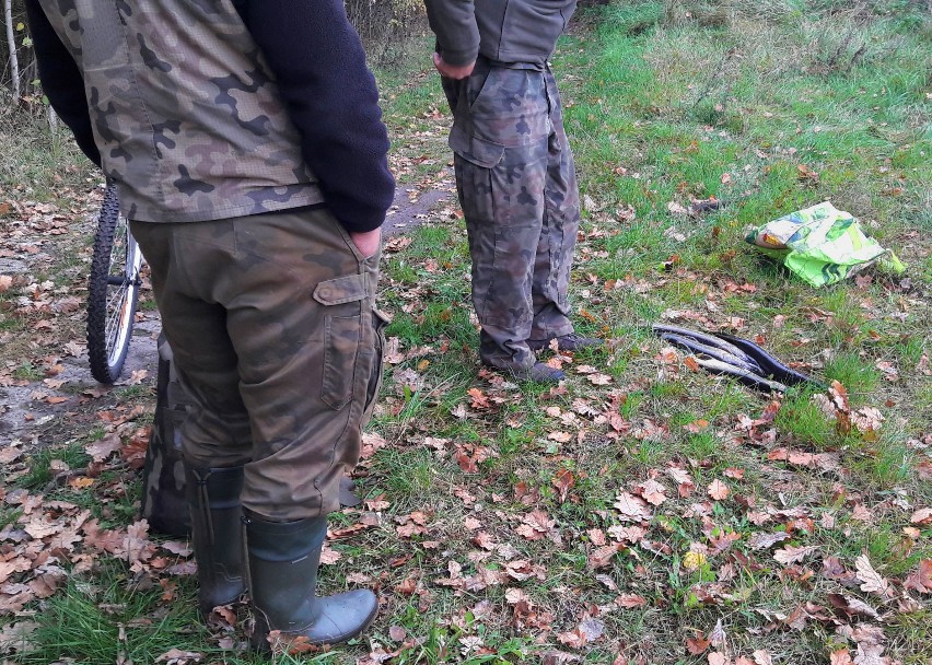 Kłusownik złapany na Jeziorze Lubiatowskim. Trafił w ręce policji