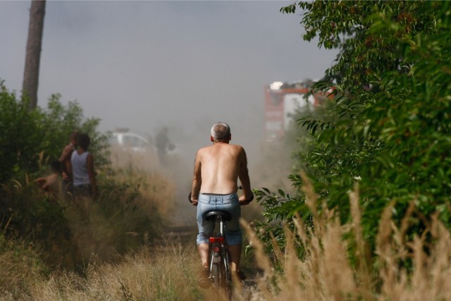 Zdjęcie poglądowe