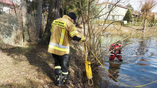 Zobacz kolejne zdjęcia. Przesuwaj zdjęcia w prawo - naciśnij strzałkę lub przycisk NASTĘPNE