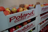 Za granicą najbardziej tęsknimy za bliskimi i polskimi smakami
