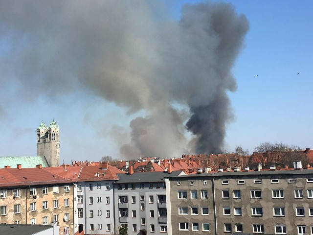 Słup dymu nad Bytomiem w sobotnie popołudnie 7 kwietnia. . To płonęły podpalone trawy przy alei Jana Pawła II