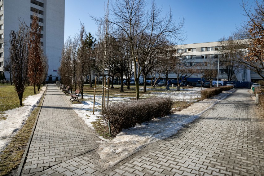 Kraków. Miasteczko studenckie jak miasto duchów. Wszystko przez Covid! [ZDJĘCIA]