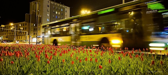 Nocne autobusy wróciły na ulice Białegostoku po kilkuletniej, spowodowanej pandemią koronawirusa przerwie