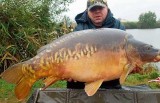 Gigantyczny karp złowiony w Kujawsko-Pomorskiem. Miał 22,6 kg!