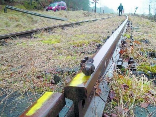 Tory na szlaku Lipusz - Bytów - Korzybie.