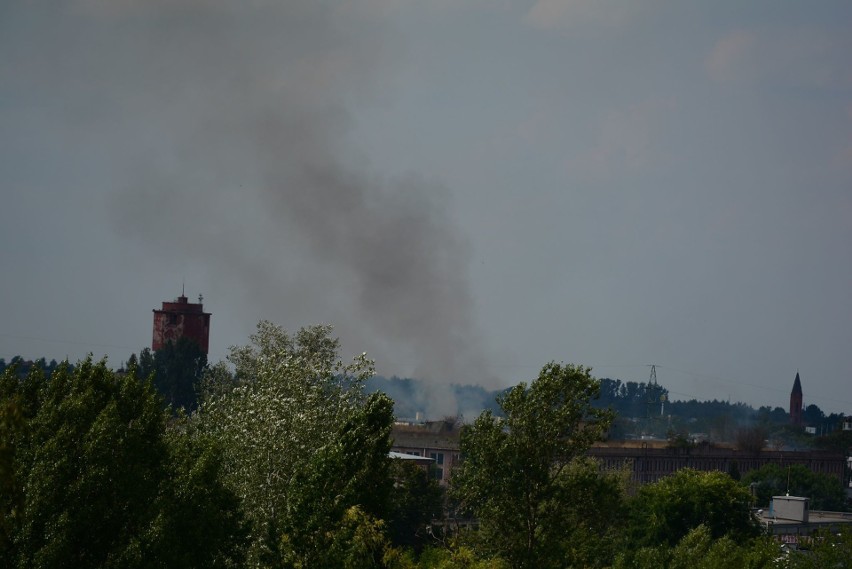 Pożar na dachu bydynku dawnych zakładów metalowych w Radomiu. Paliła się trwa i zarośla na dachu