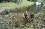 W kanale Trynka wycinają wodorosty. Będzie czystszy i udrożoniony [zdjęcia]