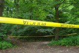 Śmierć przy wycince drzew pod Limanową. 72-letni mężczyzna zmarł na miejscu 