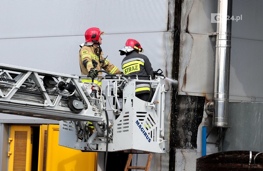 Pożar w Castoramie w Szczecinie opanowany. Spłonął fragment dachu
