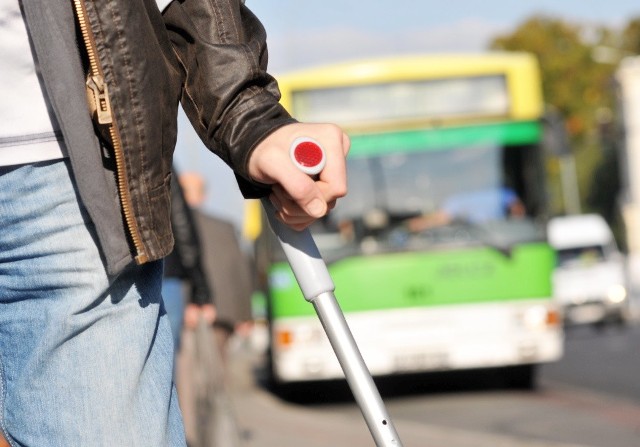 Każdego dnia z autobusów MZK w Zielonej Górze korzysta wielu mieszkańców miasta