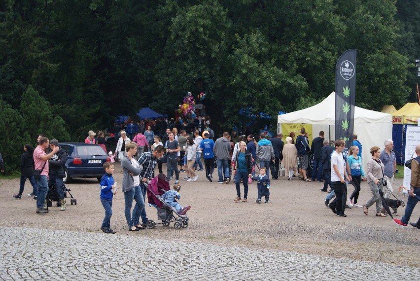 Dni Pszczyny 2016. Ich Troje i Stachursky na scenie