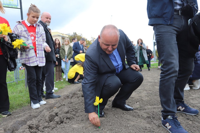 W Kielcach zainaugurowano 13. edycję wyjątkowej kampanii Pola Nadziei. Wolontariusze i goście sadzili żonkile. Zobaczcie zdjęcia
