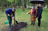 Inowrocław. Znana polska aktorka Krystyna Janda zasadziła pamiątkowy dąb w Parku Solankowym w Inowrocławiu. Zdjecia