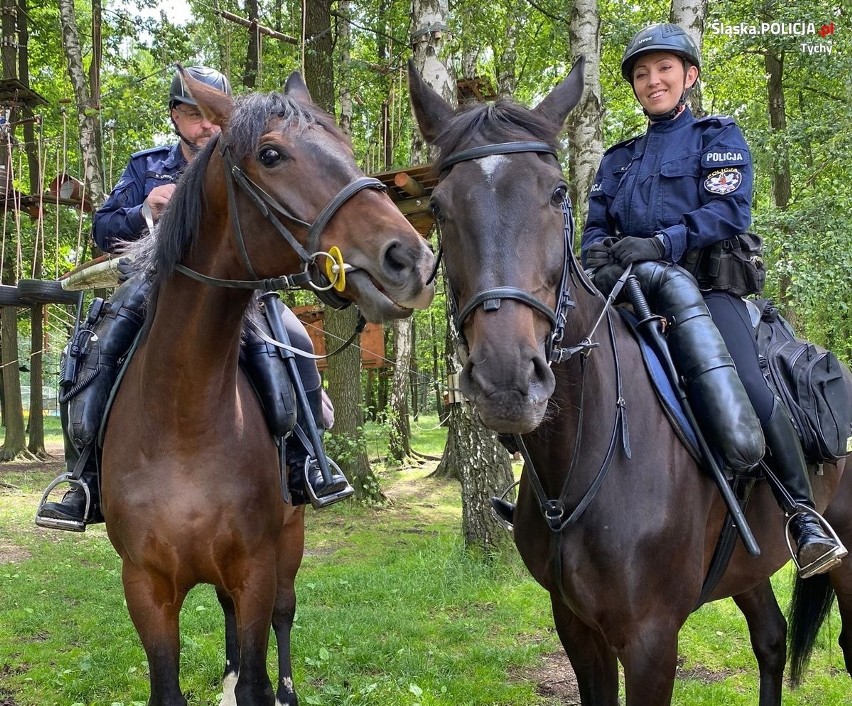 Policja konna w sezonie letnim będzie cyklicznie pojawiać...