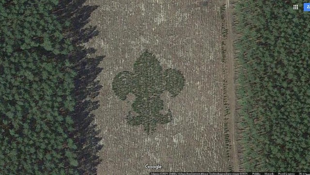 Obserwując tereny skwierzyńskich lasów na Mapach Google, można natknąć się na nietypowy widok. 