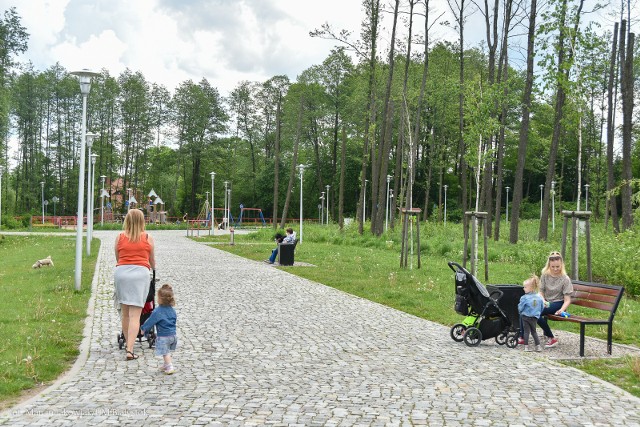 Bulwary przy ul. Z. Herberta na osiedlu Bacieczki, zgodnie z projektami z Budżetu Obywatelskiego 2017 i 2018, będą rozbudowane. Miasto rozstrzygnęło przetarg na wykonanie amfiteatru i zagospodarowania terenu tej inwestycji.