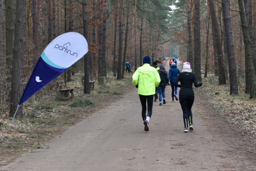 Parkrun Toruń - zobacz zdjęcia z sobotniego biegu [5.03.2022]