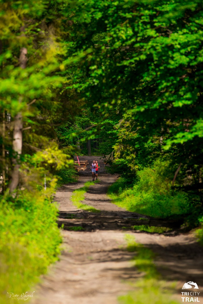 Ultramaraton w Trójmiejskim Parku Krajobrazowym rozgrywany...