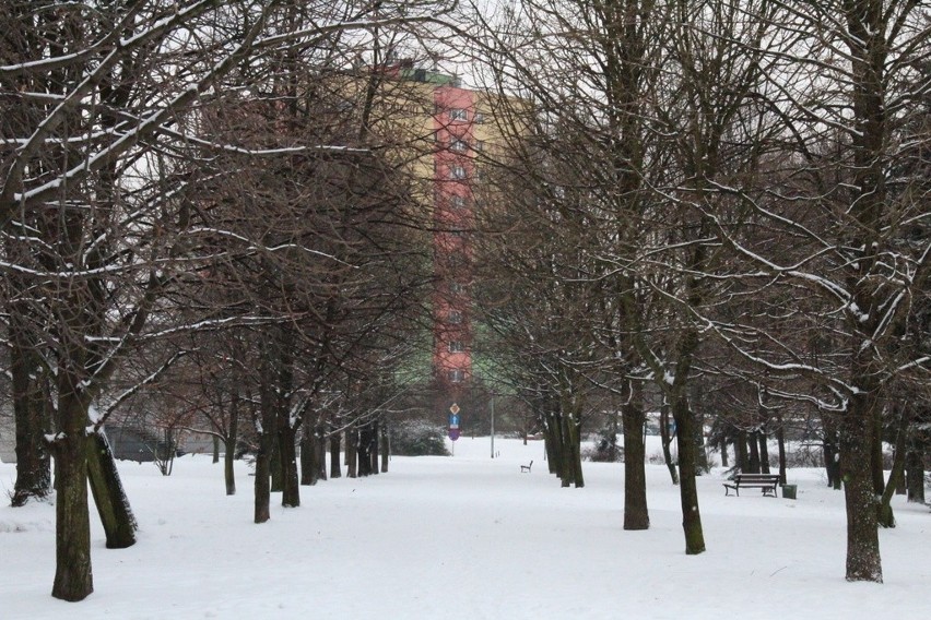 Zima w parku Hallera