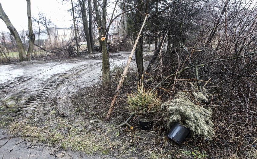 Przed weekendem służby miejskie urządziły sprzątanie terenu....