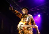 Inne Brzmienia 2013: Tabu i Ebo Taylor (ZDJĘCIA, WIDEO)