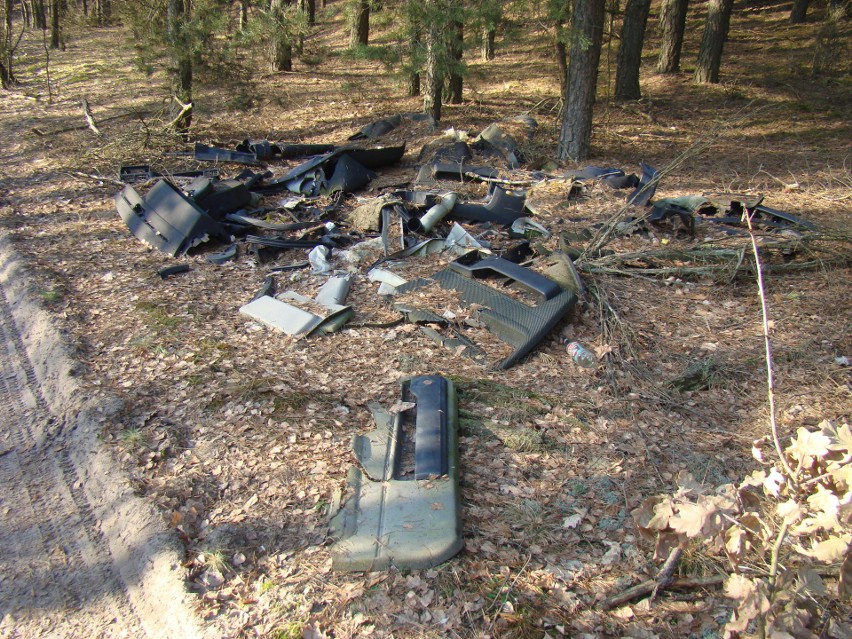 Kto podrzuca śmieci do lasu? Sterty śmieci piętrzą się w lesie pod Ostrołęką. 