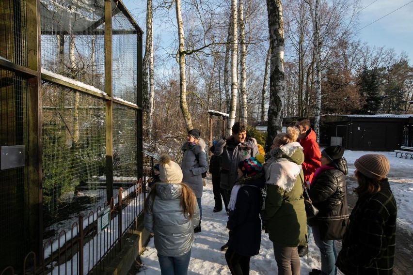 Po raz kolejny Ogród Zoologiczny w Bydgoszczy włącza się do...
