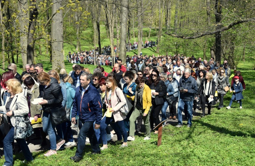 Około tysiąca wiernych na drodze krzyżowej w parku dzikowskim [ZDJĘCIA]