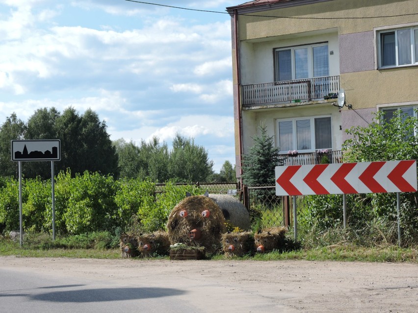 Przytuły Stare. Dożynki, czyli Przytulska Biesiada Dożynkowa "Świnia kontra dzik" 15.08.2019 [ZDJĘCIA]