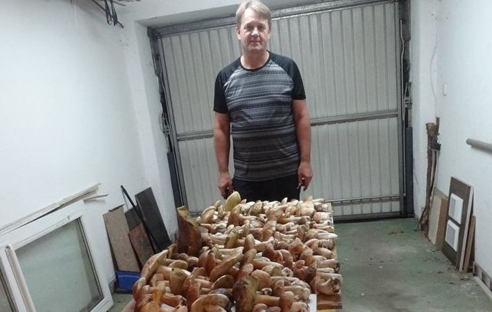 Ile grzybów zebrał Grzegorz Jasionowski?