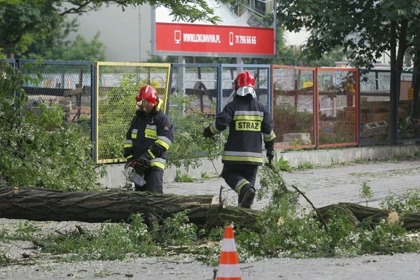 Wrocław: Drzewo przewróciło się na ulicę Litomską (ZDJĘCIA)