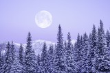 Pełnia Księżyca w lutym 2024, czyli Śnieżny Mikroksiężyc na zimowym niebie. Czy pełnia Księżyca wpływa na człowieka? Poznaj fakty i mity