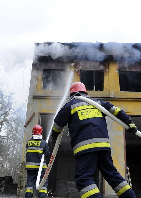 Nastoletni chłopcy trafili do komisariatu na Wyżynach. 