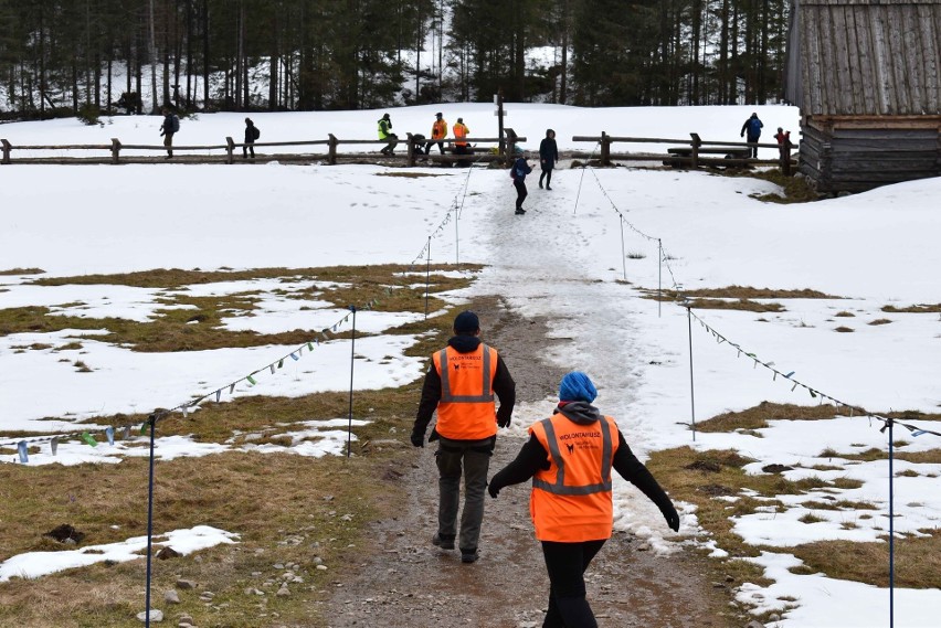 Tatry. Będzie najazd na krokusy. TPN szykuje patrole, które będą pilnowały kwiatów