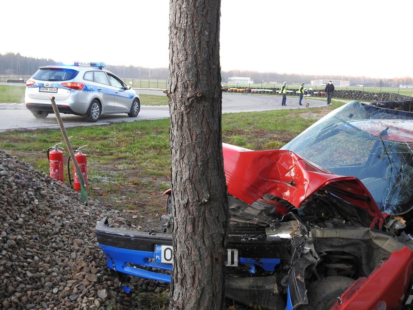 BOSiR wystąpi o wycinkę drzew. Sprawę bada policja.