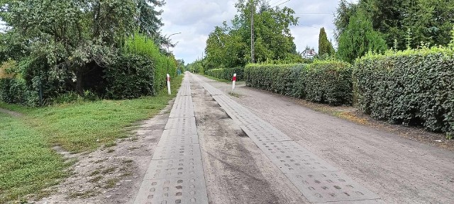 Na działkach nad Wisłą w Chełmnie znaleziono zwłoki mężczyzny