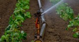 Opłata za wodę w rolnictwie - kto i ile zapłaci?