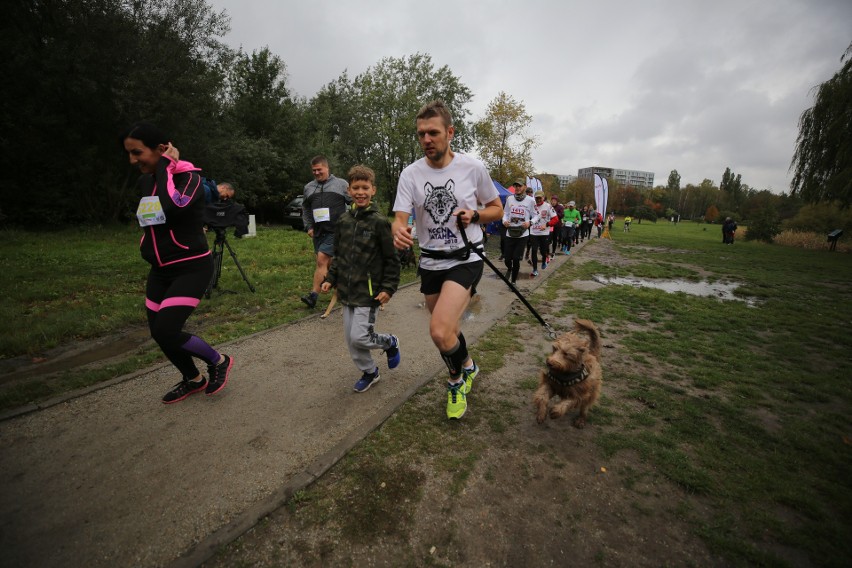 Trasa Race Hau w Katowicach została poprowadzona ścieżkami...