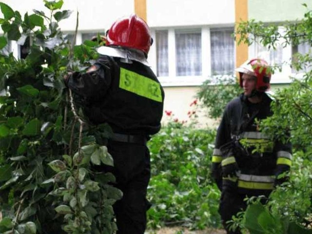Strażacy z Koszalina usuwają skutki nocnych silnych wiatrów.