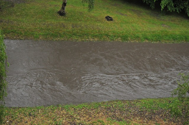 Kłodawka w Gorzowie po ulewnym deszczu zrobiła się dwa razy szersza, niż jest zazwyczaj.