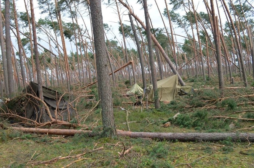 Tragedia w Suszku na Pomorzu. Zginęli harcerze z Łódzkiego