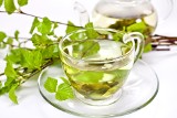 Herbatka z liści brzozy na odchudzanie, przeziębienie i dnę moczanową. Zrobisz ją szybko i tanio. Wypróbuj przepis na napar z liści brzozy