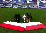 Psy ze Stargardu reprezentowały Polskę 