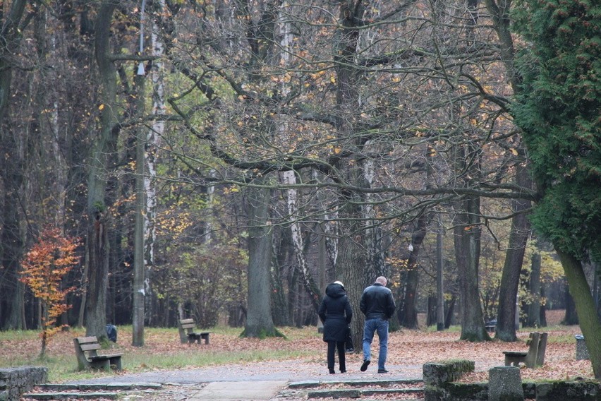 Tak wygląda park Zielona w jesiennych barwach